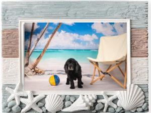 Photo frame with beach picture