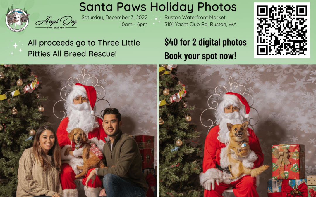 Announcing the Santa Paws Holiday Photos Fundraiser