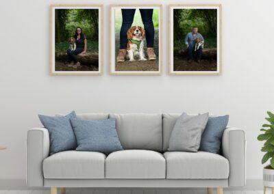 3 professional dog portraits displayed in living room.