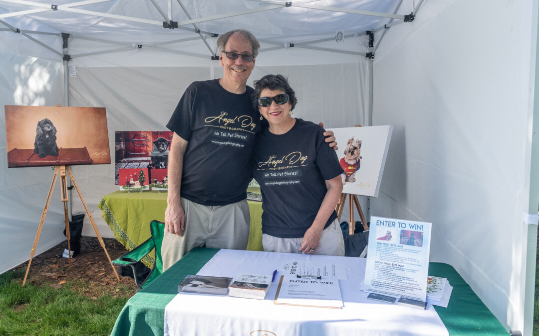 Get Ready for the Gig Harbor Maritime Festival!