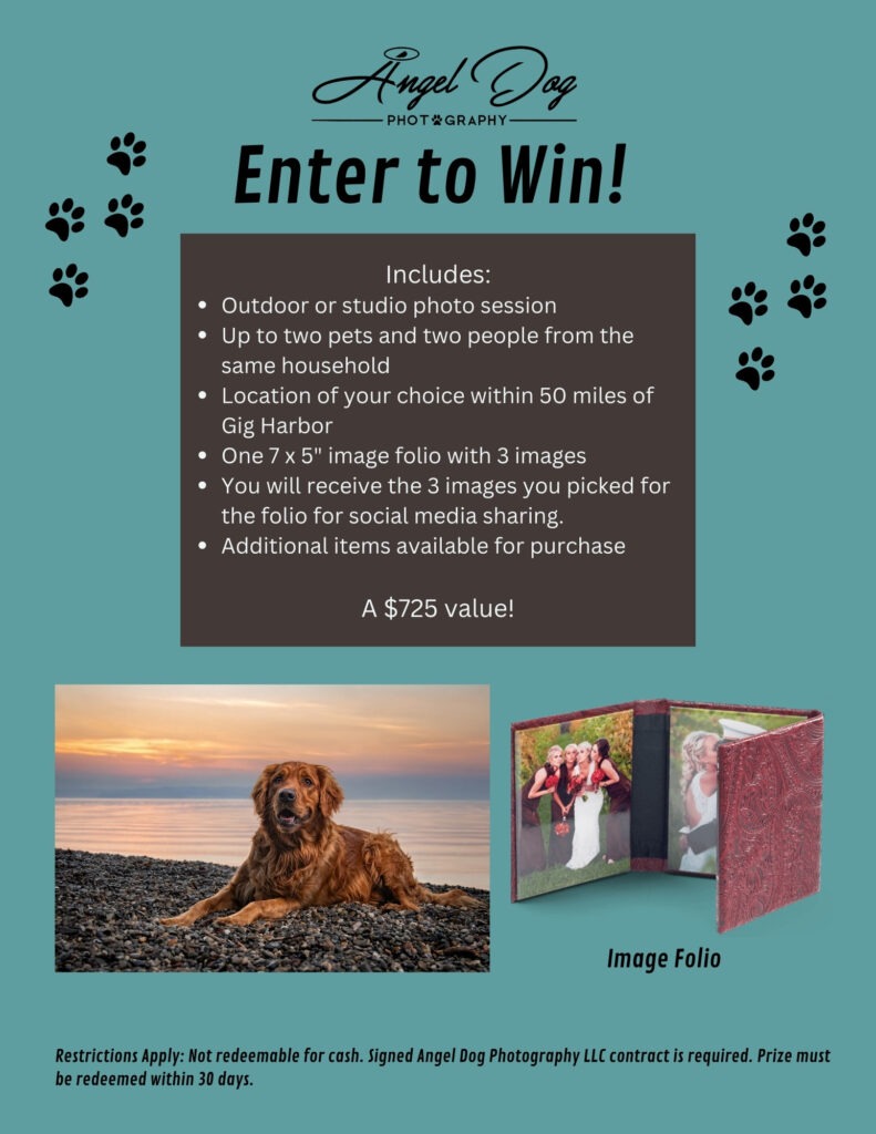 Contest flyer for complimentary photo session