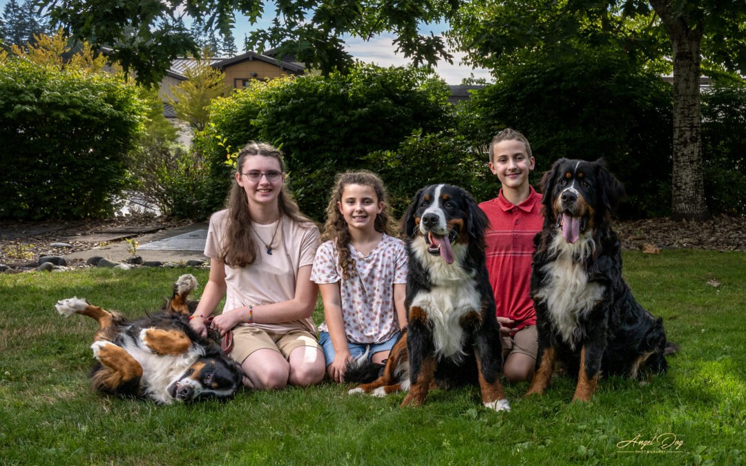 The Amazing Snyder Family