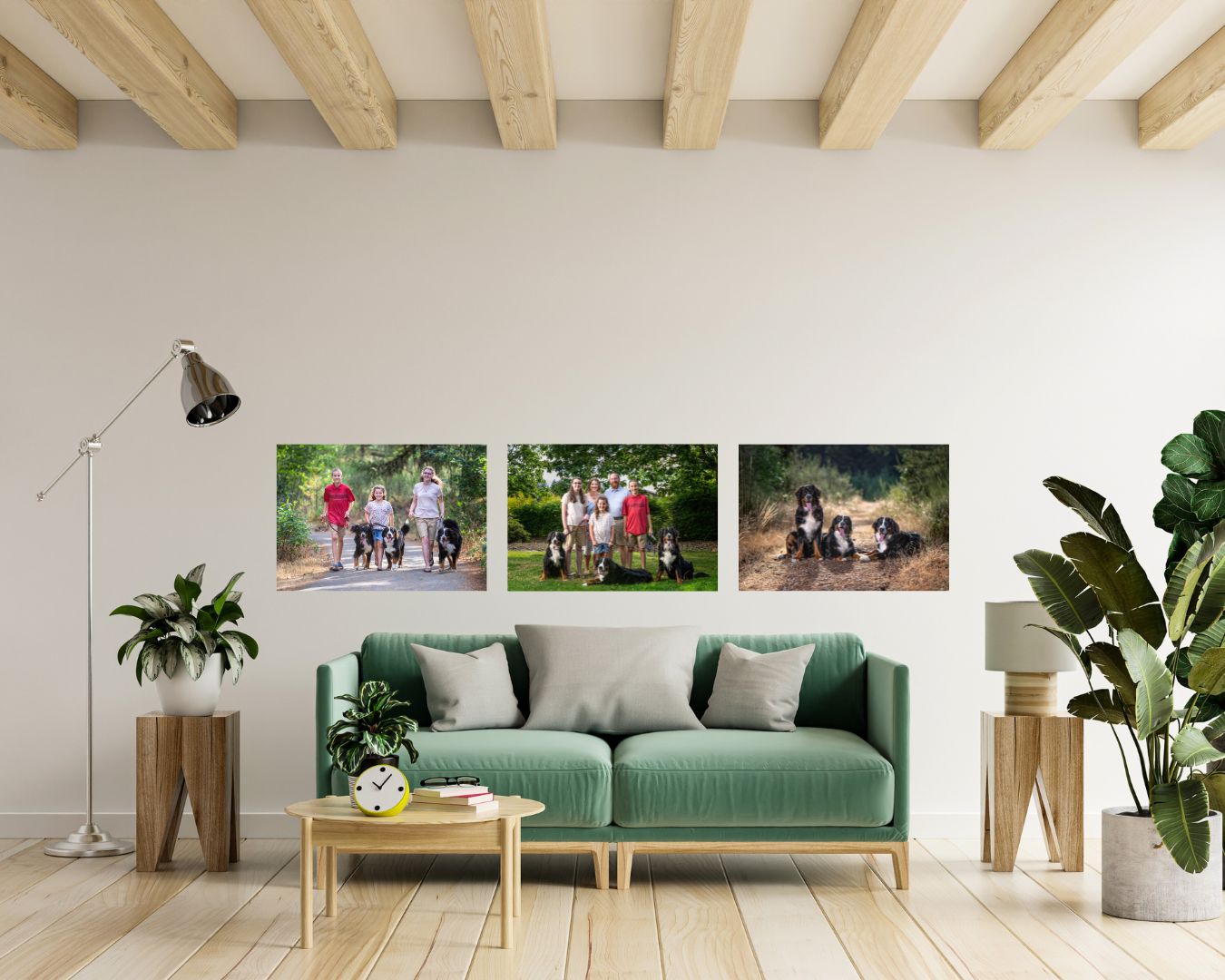 Family Photos in the Living Room