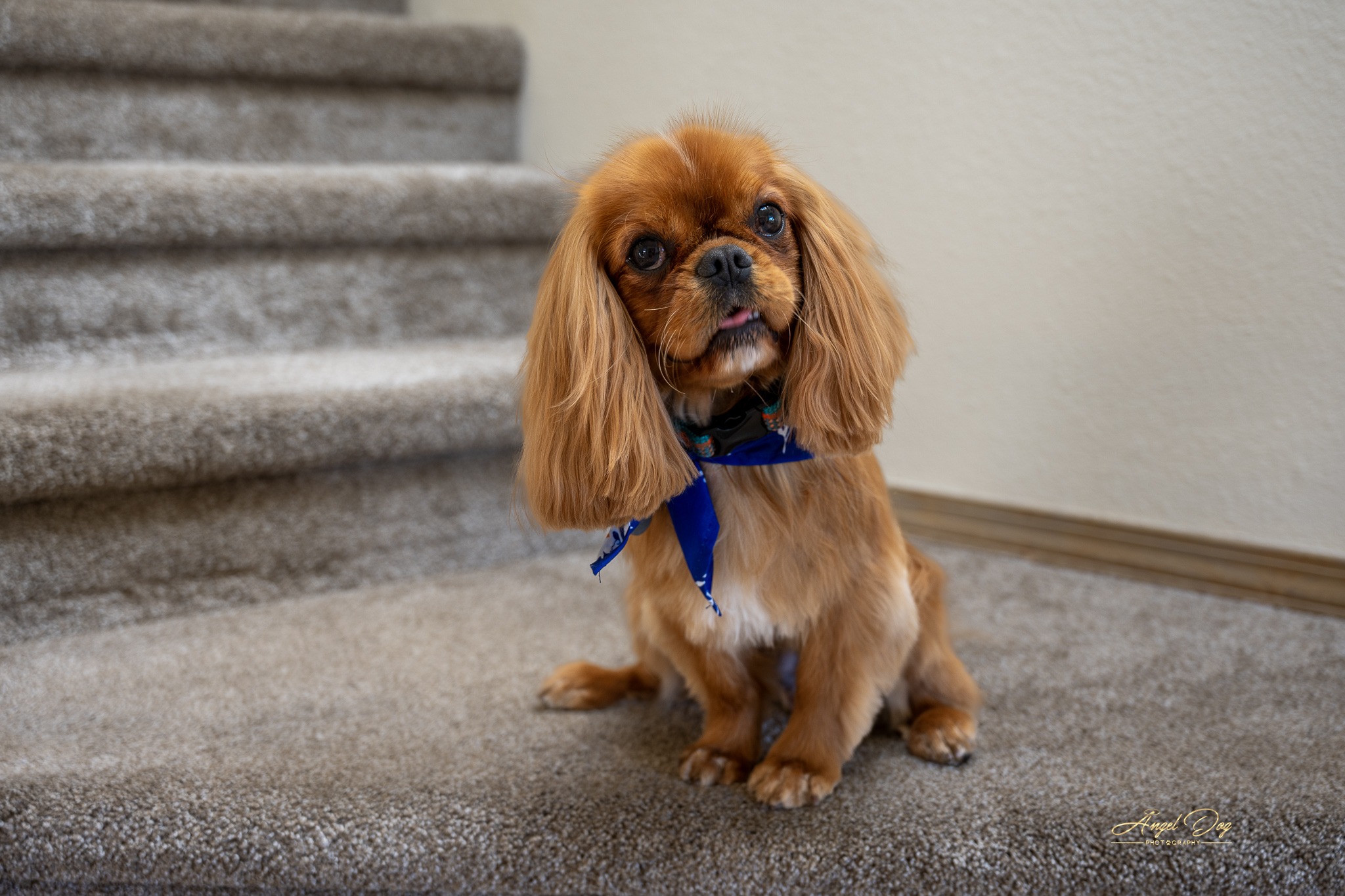 Couple with man in a chair and the woman is sitting on the floor. They are holding hands
