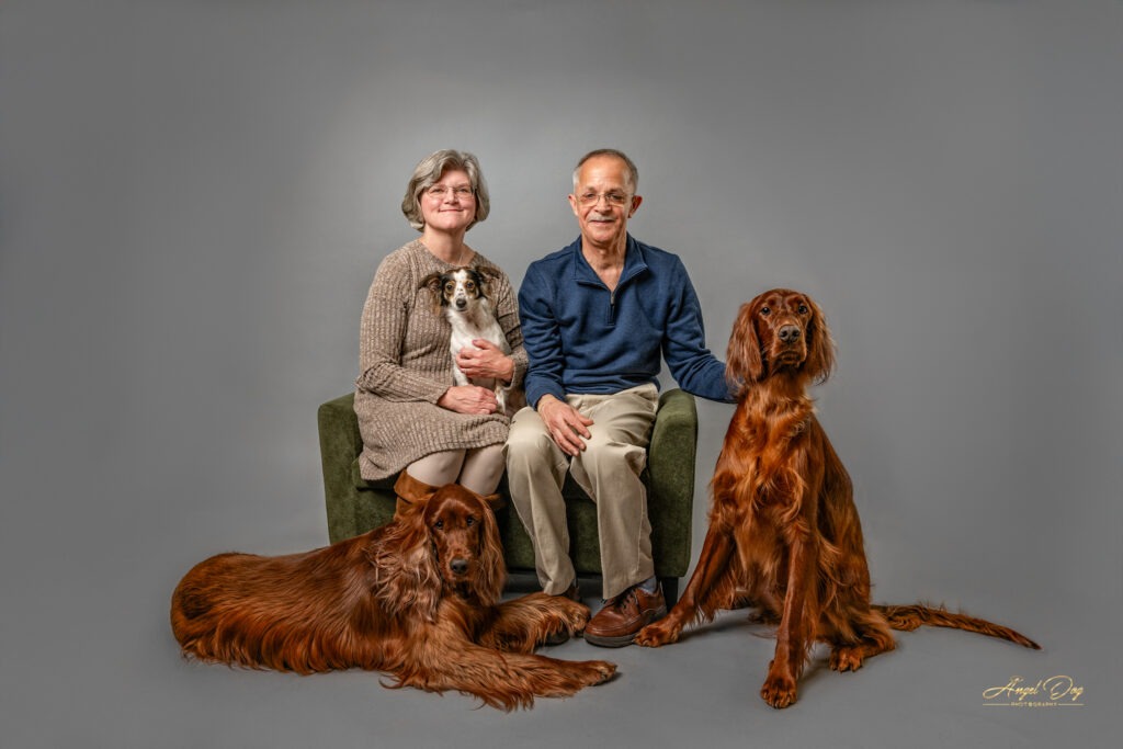A family with a couple and three dogs.