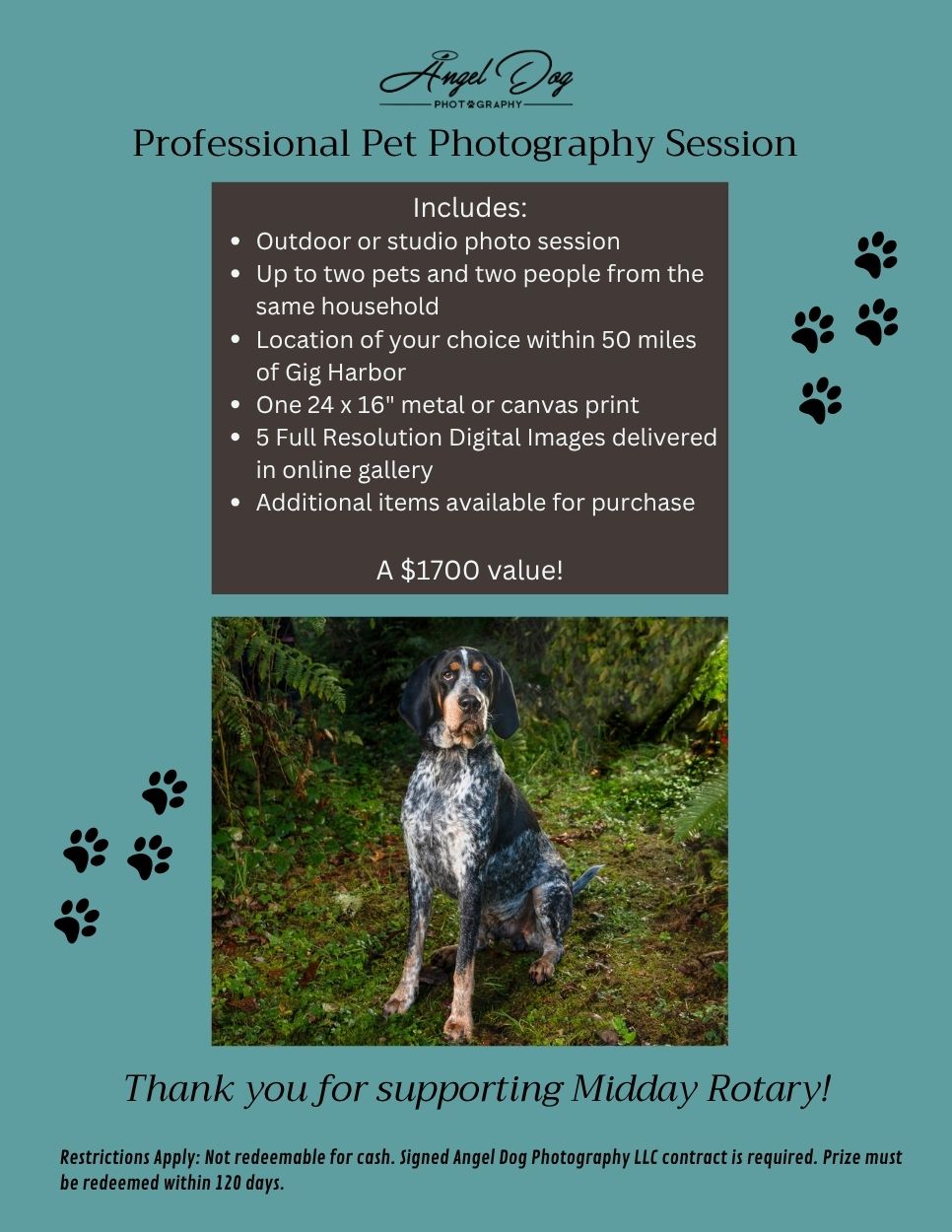 Brochure for donation of photo session to Midday Rotary