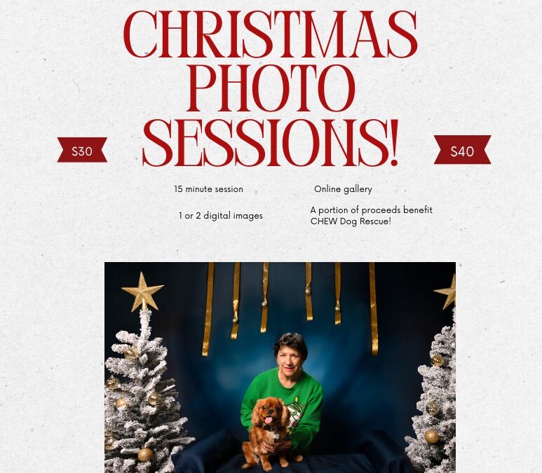 Christmas Paws 2025: Festive Photo Sessions That Give Back
