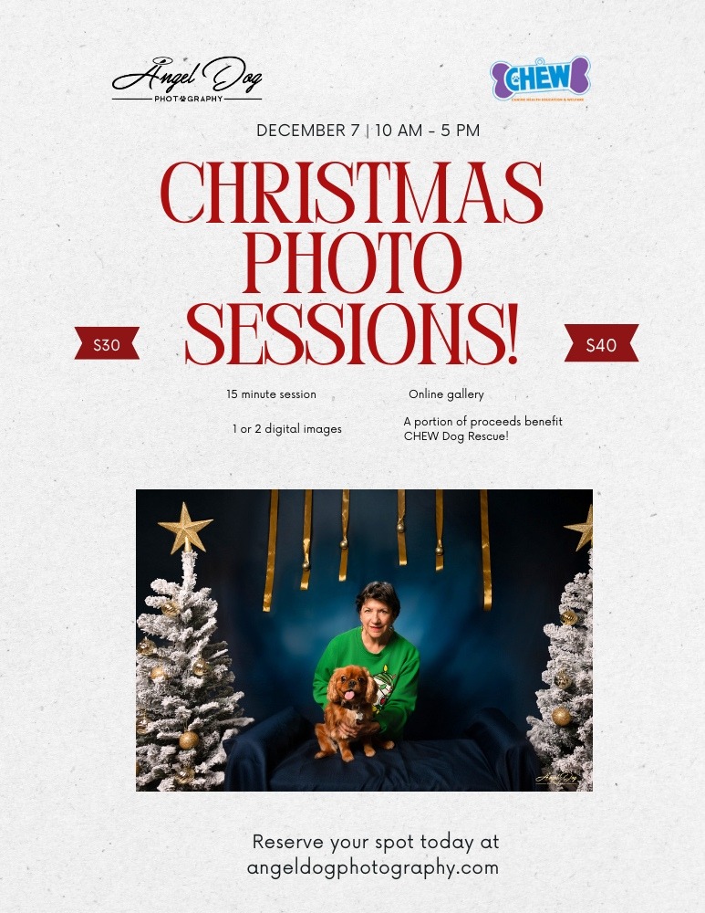 Flyer announcing Christmas photo sessions