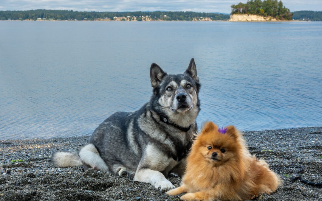 When Best Friends Become Family!