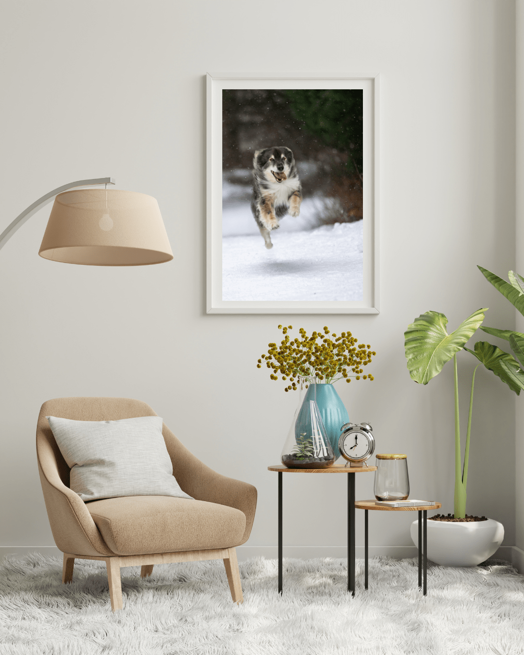 Room with photo of husky dog
