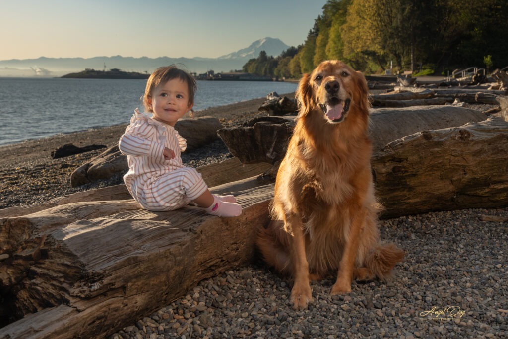 Golden Retriever with young girl on a log at Owen Beach