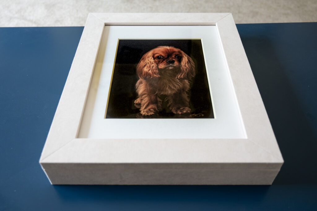 Window Box with photo of dog