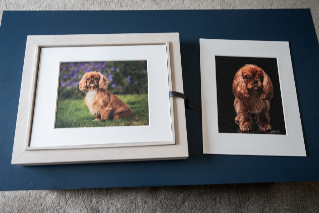 Photo box with one of the photos removed sitting beside the box