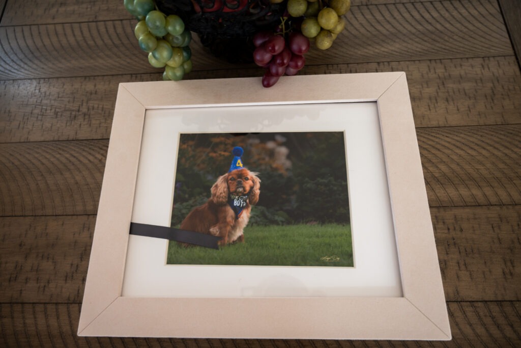 Photo box with cover removed on coffee table
