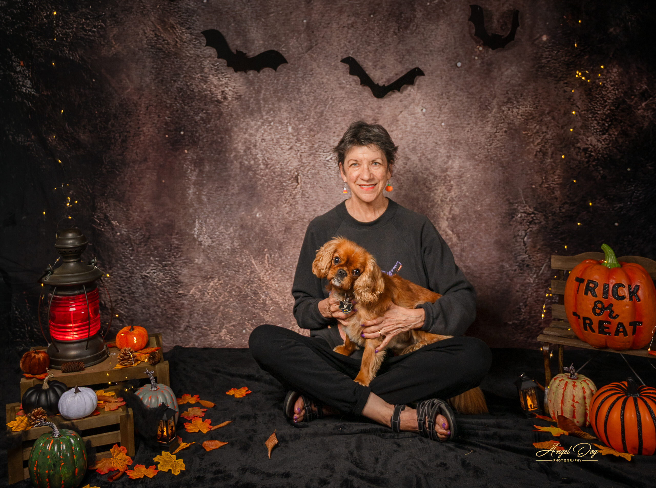 King Charles special with woman holding him on a Halloween background
